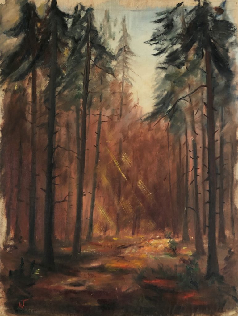 Einfallende Sonne in Waldweg, Öl 1951