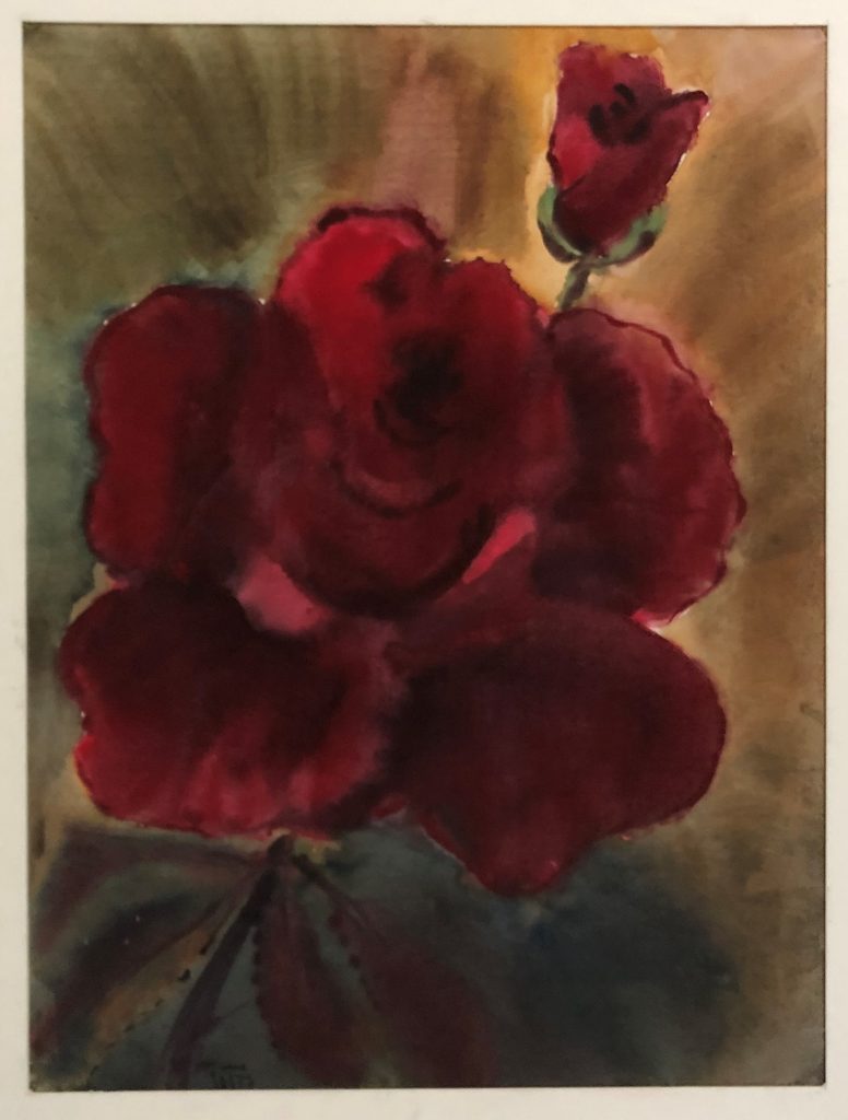 Rose. Aquarell, 1977